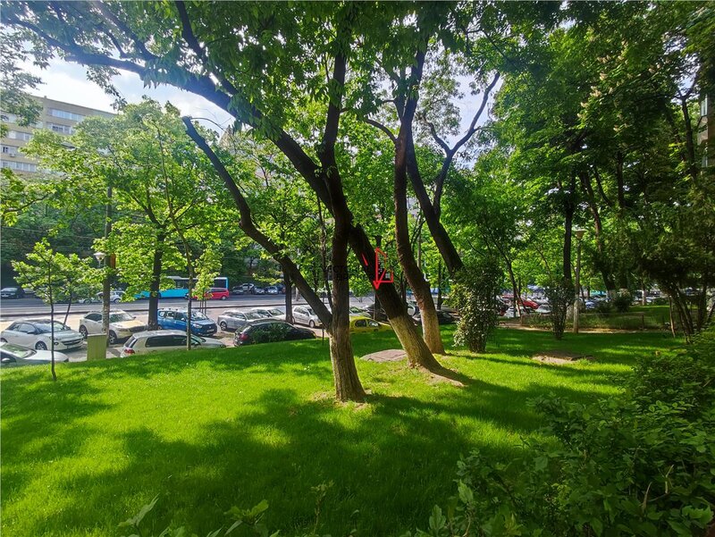 Colentina Apartament et.2/10 in bloc stradal, zona verde